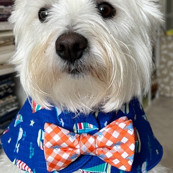 BOWTIE CAPES - Picture 2 of 6